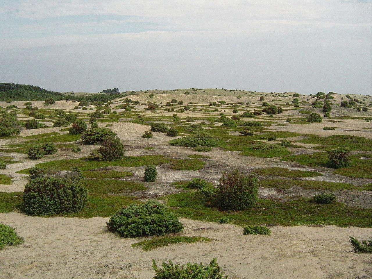 Anholt, Denmark